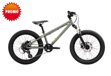 Vélo de la Côte NORCO CHARGER   Roue 
20